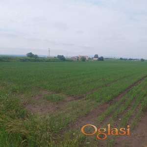 Poljoprivredno zemljište odmah pored autoputa kod Kovilja.