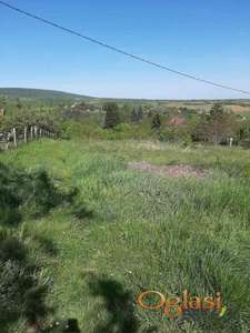 Plac 6.235 m² u Irigu kod Novog Hopova – Asfaltni prilaz, odlična lokacija