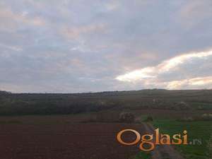 Na prodaju poljoprivredno zemljište u Beočinu - 19742