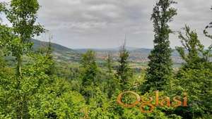 EKSKLUZIVNA PRODAJA, 5,4 ha - 37.500€