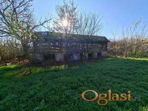 Salas odlican kod Čeneja