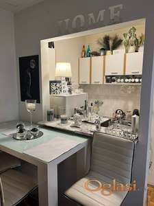 EXTRA  PET FRIENDLY STAN U CENTRU 300