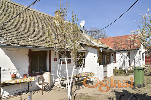 Bačko Dobro Polje (02246944) Oglasi.rs