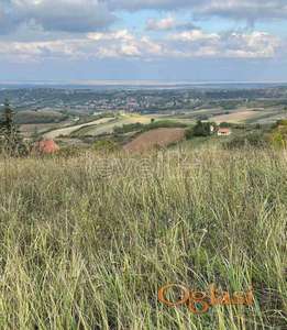 PETROVARADIN - ALIBEGOVAC - 2500.00 m2