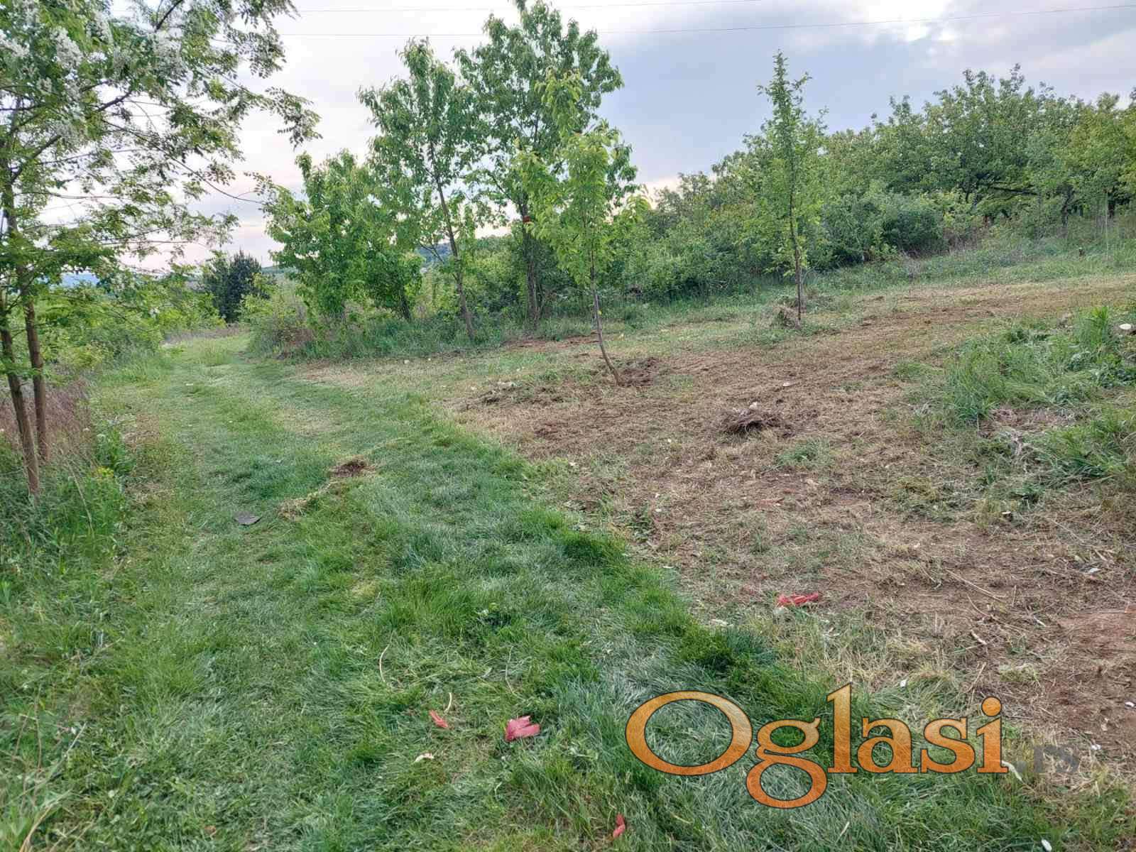 Kuća Sa Placem (03-3023871) - Oglasi.rs