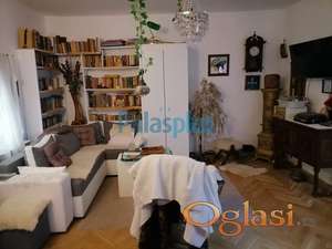 Vračar - Njegoševa