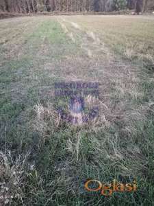 Prodaju se dva placa zajedno, 41 a i 17a!