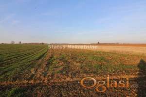 Poljoprivredno zemljište  7700 m2 -0653858888