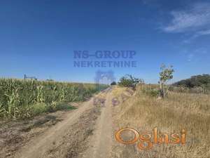 Na prodaju plac površine 6.505m2 u Kovilju