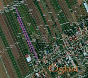 Plac od 82 ara u Dobanovcima – građevinsko područje ID#8793