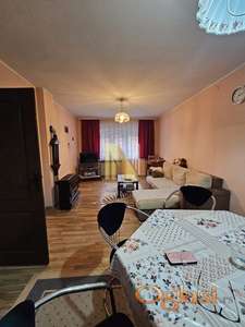 Prodaja - 7.0 kuća u Futogu