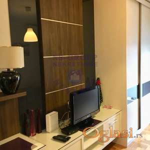 Izdaje se garsonjera na Novoj Detelinari