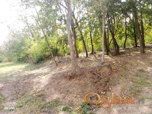 Sviloš potes Brainovac parcela 3839m2 pod šumom HITNO!