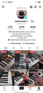Na prodaju farbe za Korg pa4x,pa5x