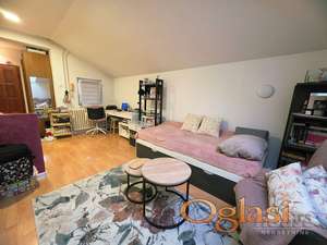 STAN - NOVI SAD - NOVO NASELJE -  BISTRICA - 24m2 - 56000 evra