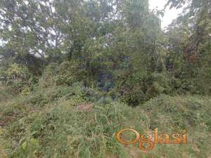 Samo kod nas u ponudi!