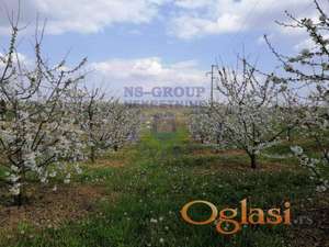 Plac 4068m2 Karagača