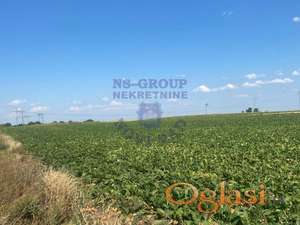 Novi Karlovci - 16.000m2!