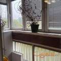 545276-Dvosoban-70m2-Liman 3
