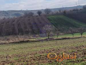 Sremski Karlovci,plac