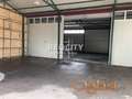 Zemun, Altina, , 3.5, 2350m2