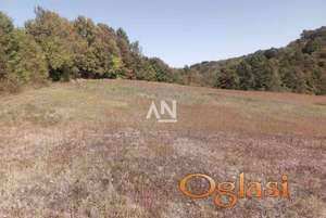 Ljig, Bošnjanović, Bogavica, zemljište 2, 45ha ID#5973