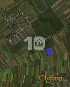 Poloprivredno zemljište 645,68 ari ID#1589