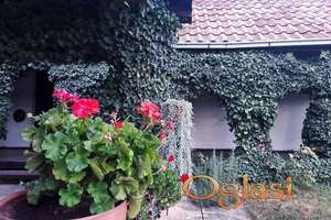 KUĆA U RUŽI VETROVA