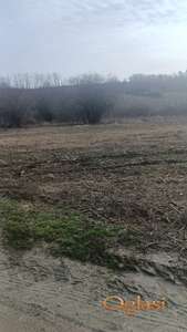 Begaljica parcela 34 ara povoljno 600 e/ar