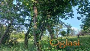 MALI RAJ.🌿 Popovica-Paragovo. Plac. Panorama grada, tvrđave i Fruške gore. Savršena lokacija.