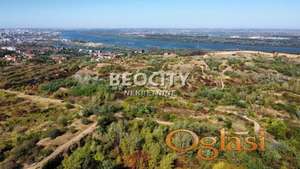 Palilula, Višnjica, Nedeljka Košanina, 100a