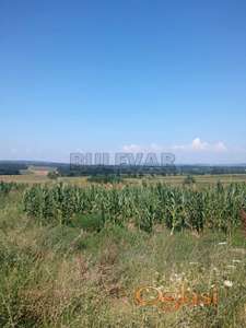 Poljoprivredno i šumsko zemljište u Đurđevu kod Rače -  ukupna površina 31582 m2