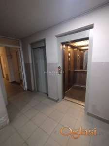 Zemun - Alaska ID#5284