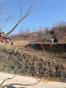 Plac - Bukovac - 507m2!