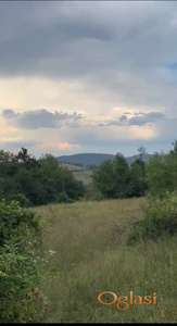 🌲 PRODAJE SE PLAC U NEPOSREDNOJ BLIZINI ZLATIBORA – 1,30 ha PRIRODE I MIRA