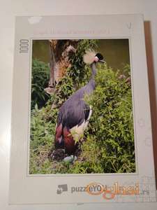 Puzle od 1000 delova Krunasti Zdral