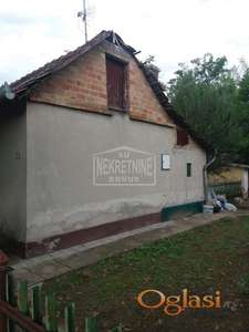 Subotica-Hajdukovo-kuća sa velikim placem i dodatnim prostorijama ID#1159