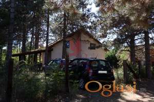 Kuća blizu obale Dunava -šuma, gradska voda, trofazna struja, Golubac #K796 #1745