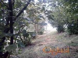 Volujac, voćnjak 2,15ha ID#4310