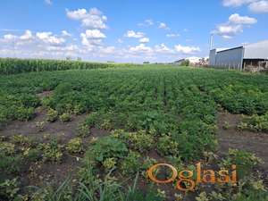 Plac 9.444m Futog Industrijska zona