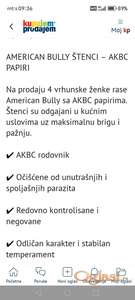 Štenci