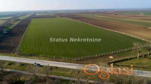 Stara Pazova Okolina-Građevinski Plac 5,5 hektara u Građevinskoj Zoni-065/385 8880