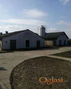 Farma 3000m2 na 1.5ha