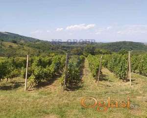 Plac u Ledincima površine 2964m2