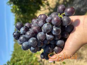Prodajem grožðe za vino i rakijju