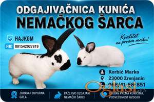 Hajkom kunići