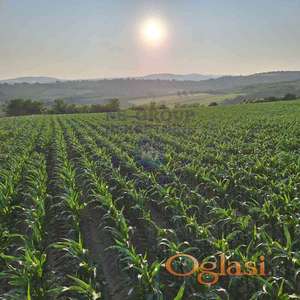 Odličan plac u Irigu