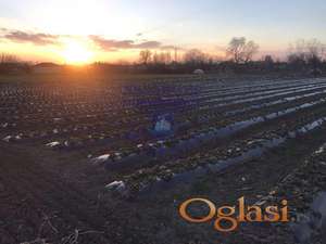 Prodaje se plac na Sajlovu