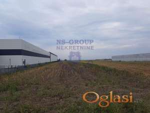 562651-Plac-13243m2-Indjija