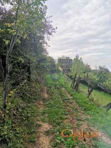 PRODAJA PLACA U SREMSKIM KARLOVCIMA